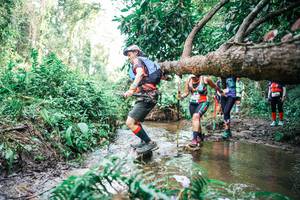 BIB: 
                            <button type="button" onclick="openModal(25517756)" class="btn btn-primary btn-sm float-right btn-popup" data-toggle="modal" data-target=".modal-high-quality">
                        <i class="fas fa-shopping-cart"></i> Add to Cart
                    </button>
                                            <button type="button" onclick="isThisMe(25517756, true)" class="btn btn-success btn-sm float-right btn-popup btn-isme hidden" data-toggle="tooltip" data-placement="bottom" title="นี่คือรูปของคุณใช่ไหม คลิกที่นี่เพื่อเอาเข้าอัลบั้ม">
                        <i class="fas fa-plus"></i> Add to album
                    </button>
                    <button type="button" onclick="isThisMe(25517756, false)" class="btn btn-warning btn-sm float-right btn-popup btn-isnotme hidden">
                        <i class="fas fa-ban"></i> Remove from album
                    </button>